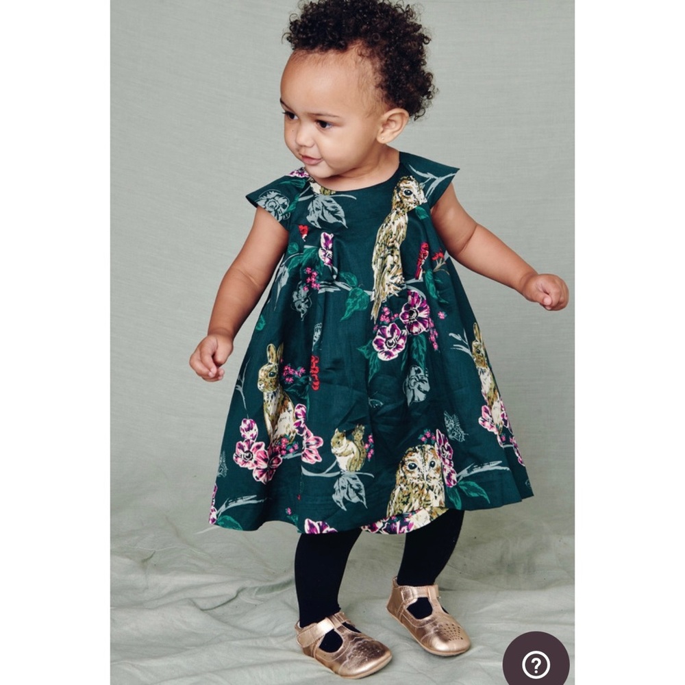 NWOT Tea Collection Holiday Dress